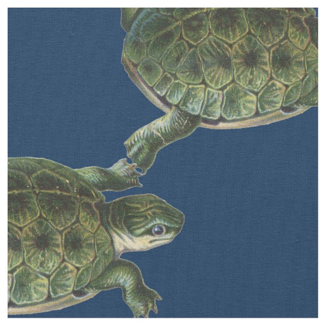 Tela Tortuga verde (De cerca)