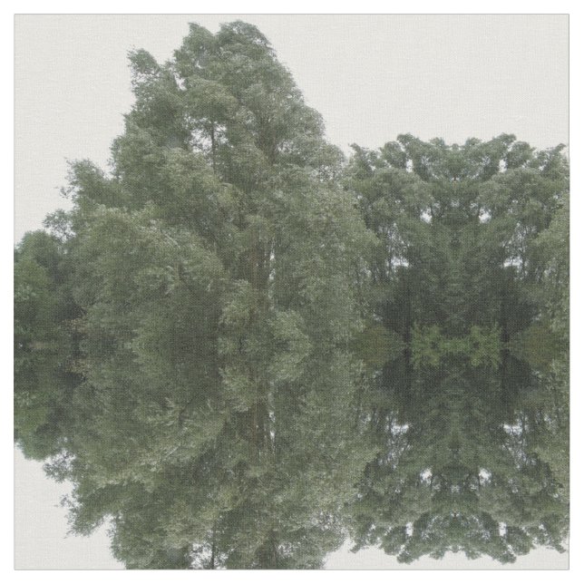 Tela Trayectoria a través de la estructura con patrones (De cerca)