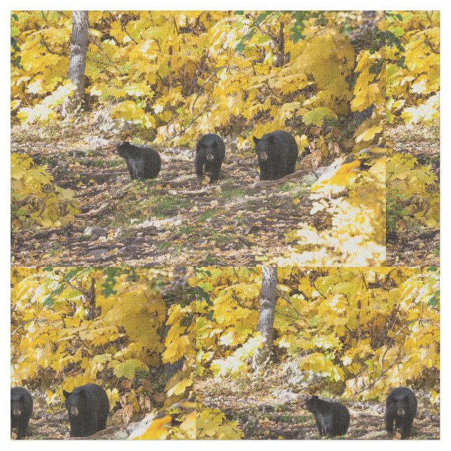 Tela Tres Baños (De cerca)