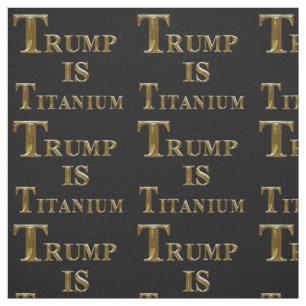 TELA TRUMP 2020