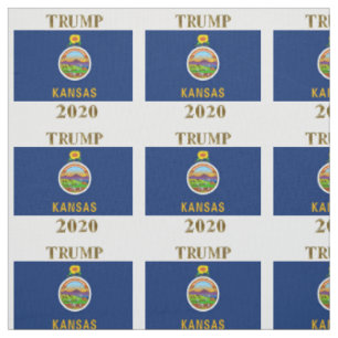 TELA TRUMP 2020