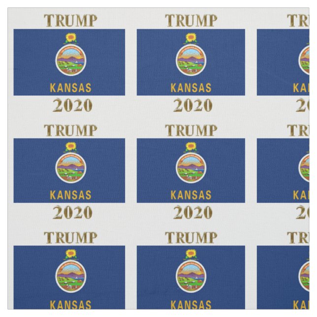 TELA TRUMP 2020 (Retal)