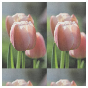 Tela Tulipán rosa