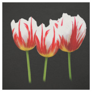 Tela Tulipanes elegantes de hoja de arce