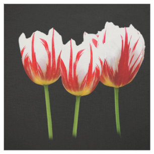 Tela Tulipanes elegantes de hojas de arce