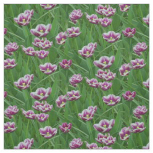 Tela Tulipanes morados y blancos