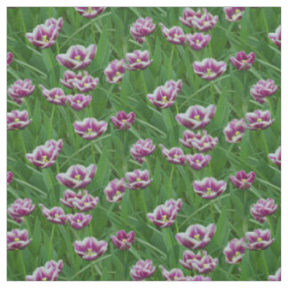 Tela Tulipanes morados y blancos