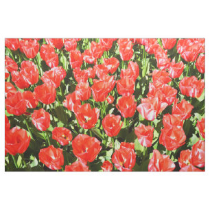 Tela Tulipanes rojos