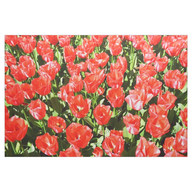 Tela Tulipanes rojos (Yarda)