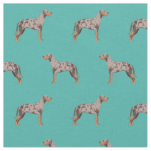 Tela turquesa de leopardo de louisiana catahoula