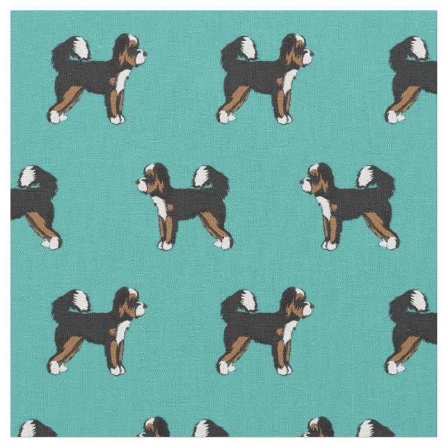 Tela Turquesa de perro Bernedoodle (De cerca)