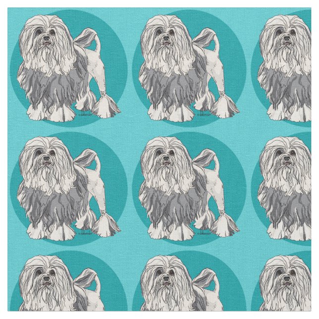 Tela Turquesa Lowchen 2 (De cerca)