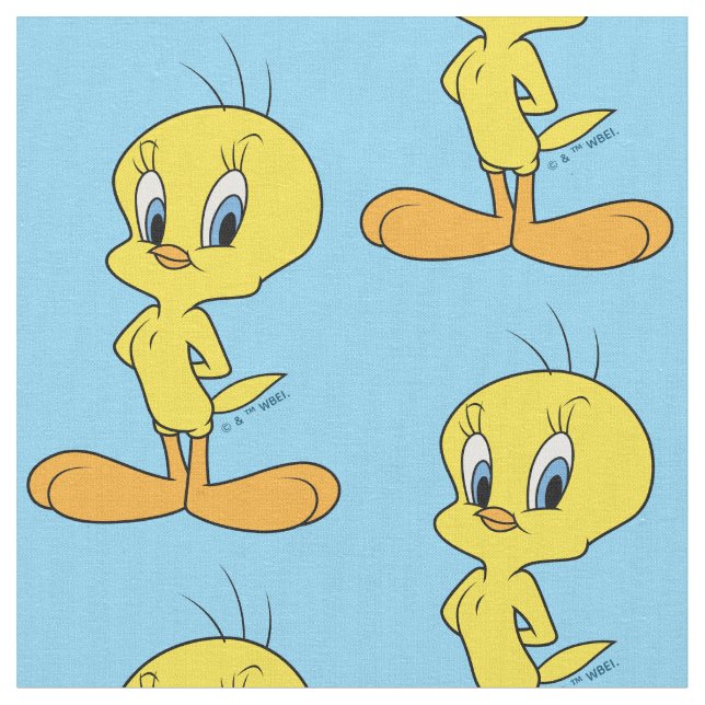 Tela TWEETY™ | Clever Bird (De cerca)