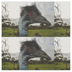 Tela "Twinkle in the Eye: An Emu's Curious Gaze"