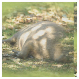 Tela Un capibara sueña con el sol de verano