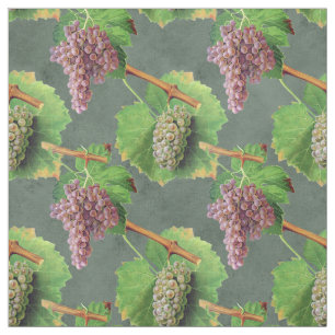 Tela Uvas verdes y púrpuras vintas en vides