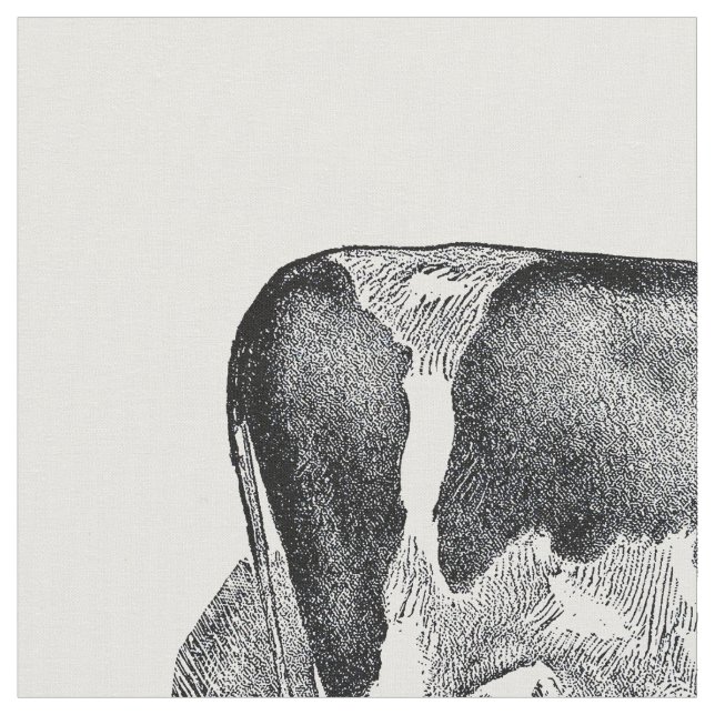 Tela Vaca (De cerca)