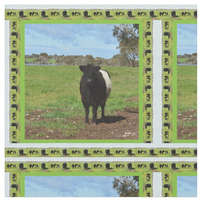 Tela Vaca Galloway Bellada Femenina Enmarcada, (De cerca)
