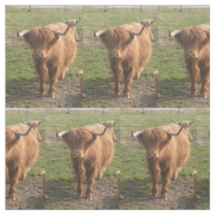 Tela Vaca Highland