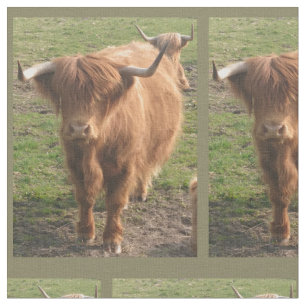 Tela Vaca Highland