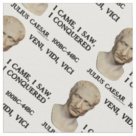 Tela Veni, Vidi, Vici Vine, Vi, Conquisté A César