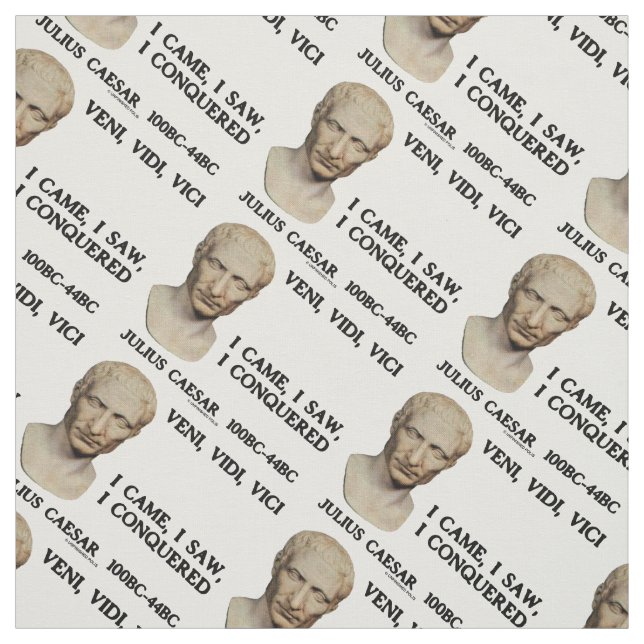 Tela Veni, Vidi, Vici Vine, Vi, Conquisté A César (Retal)