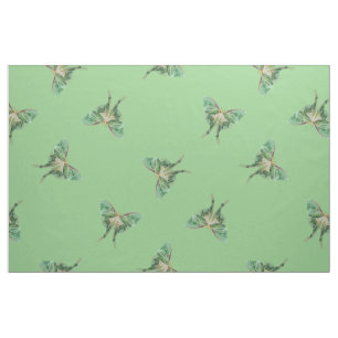 Tela verde del modelo de la polilla de Luna