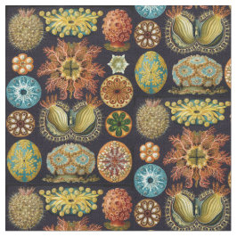 Tela Vida del océano de Ascidiae de Ernst Haeckel