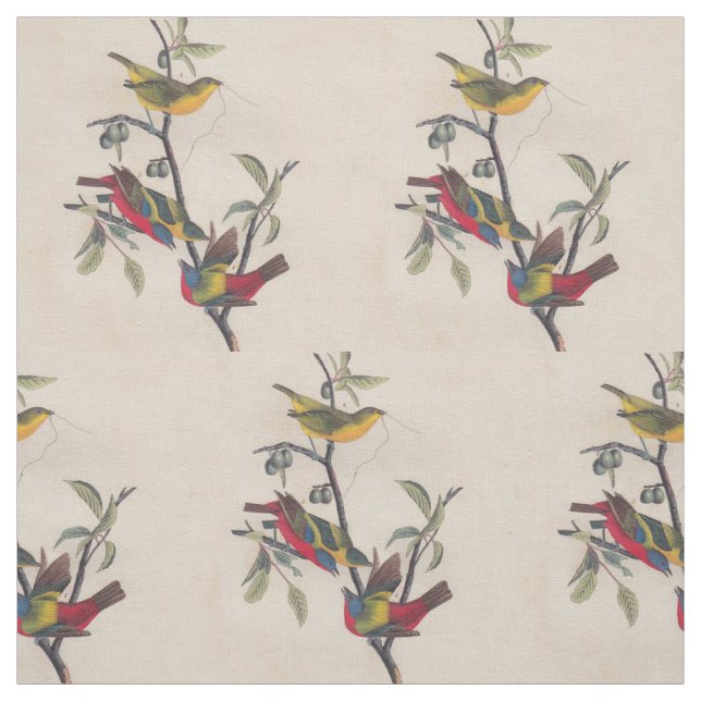 Tela Vida silvestre de las aves de Bunting de Audubon (Retal)