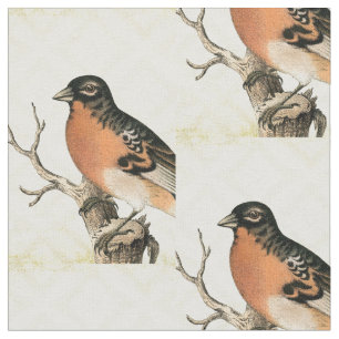 Tela Vintage Bird