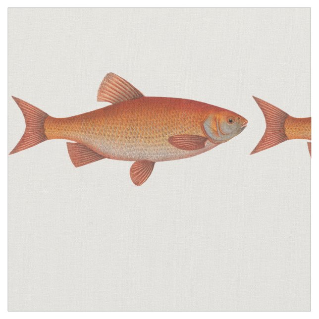 Tela Vintage Gold Fish (De cerca)