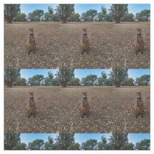Tela Wallaby australiano sosteniendo un palo,