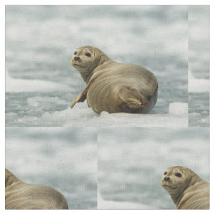 Tela Wary Seal