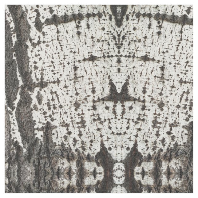 Tela Weathered birch trunk (De cerca)