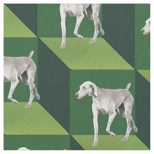 Tela Weimaraner en Cubes Verdes (De cerca)