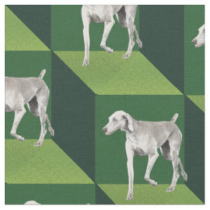 Tela Weimaraner en los cubos verdes