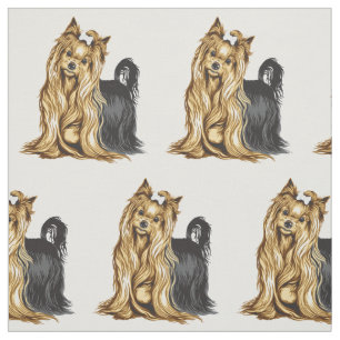 Tela yorkshire terrier