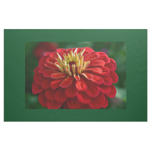 Tela zinnia roja