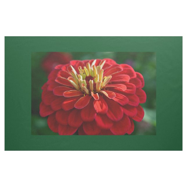 Tela zinnia roja (Yarda)
