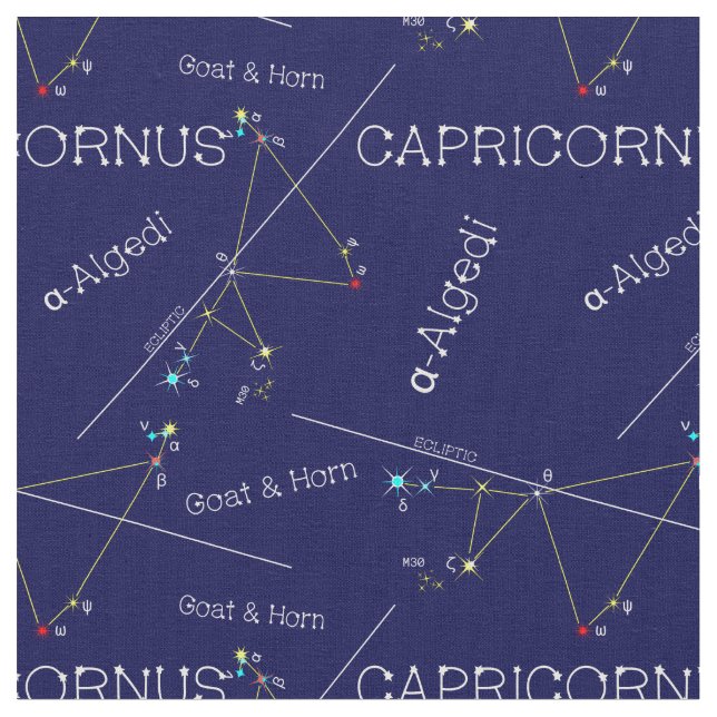 Tela Zodiac Constellation Capricornus (De cerca)