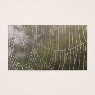 Telaraña de la araña