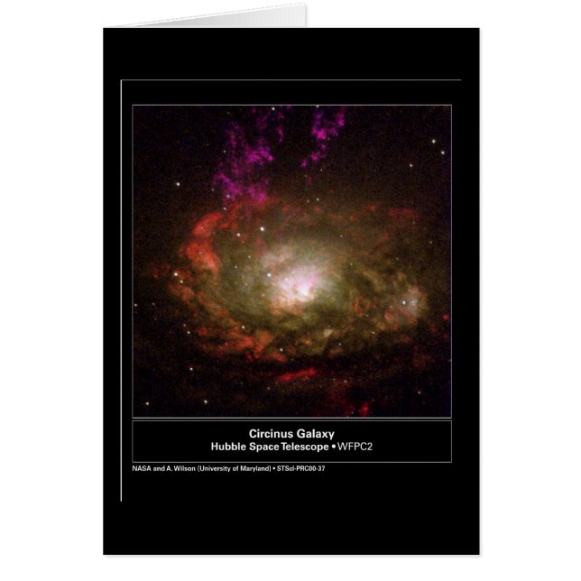 Telescopio Circinus Galaxy Hubble (Frente)