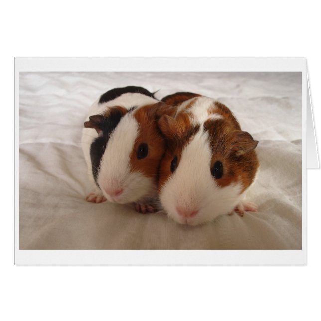 Telmha y Louise (Anverso (Horizontal))