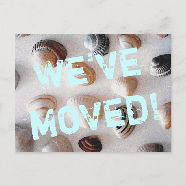 Tema de la playa mover postal con conchas marinas (Anverso)