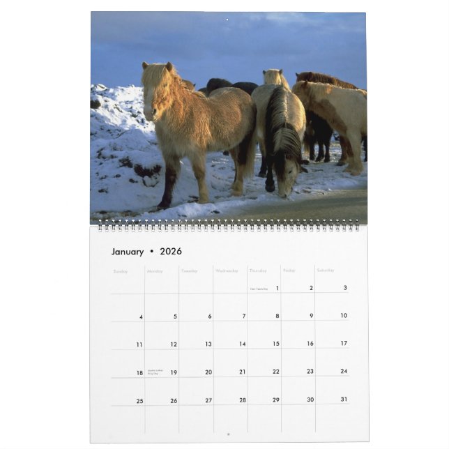 Tema islandés de 2010 caballos del calendario (Jan 2026)