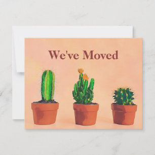 Tema Suroeste Movimiento de Invitación Plantas Pot