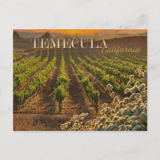 Temecula Wine Country Postal Vineyard