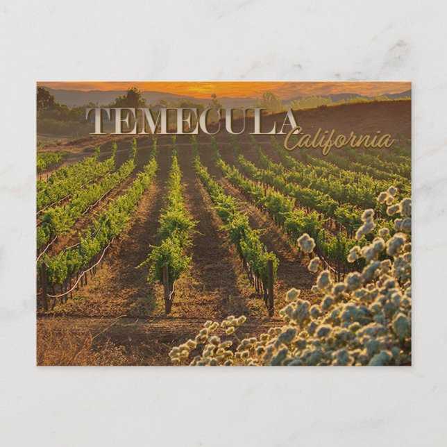 Temecula Wine Country Postal Vineyard (Anverso)
