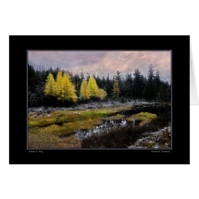 Tempestad de Tamarack (Anverso (Horizontal))