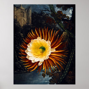 Templo De Arte Botánico De Flora Noche Con Cereus